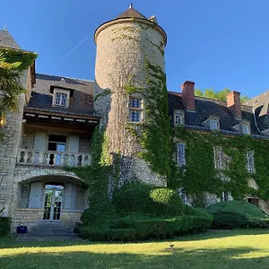 Vakantiehuis Chateau Du Raysse Frankrijk